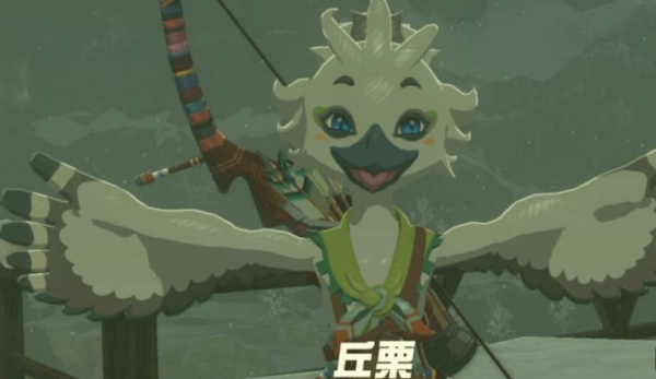 塞尔达传说王国之泪丘栗在哪里-王国之泪利特村的丘栗任务攻略