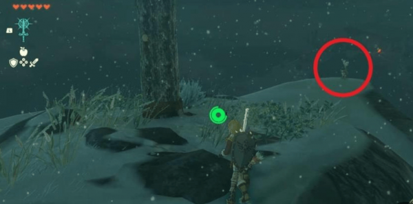 塞尔达传说王国之泪丘栗在哪里-王国之泪利特村的丘栗任务攻略