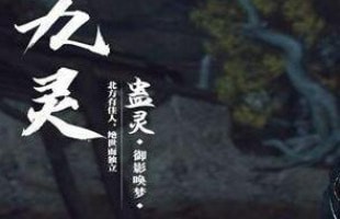 逆水寒九灵内功搭配推荐