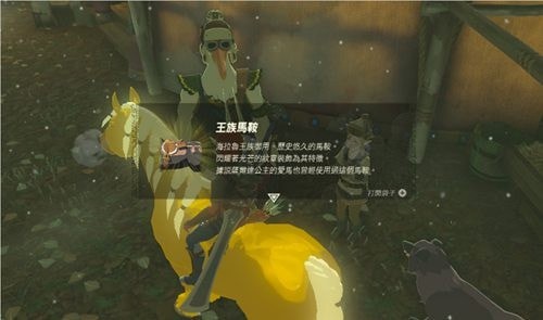 塞尔达传说王国之泪黄金马怎么得到