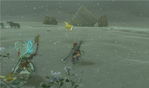 塞尔达传说王国之泪黄金马怎么得到