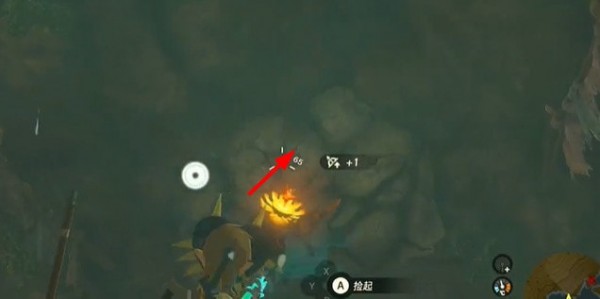 王国之泪橡胶紧身裤获取攻略-橡胶紧身裤获得步骤