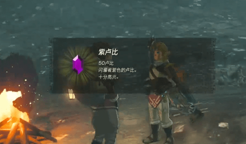 塞尔达传说王国之泪海布拉大化石在哪-塞尔达传说王国之泪海布拉大化石位置攻略