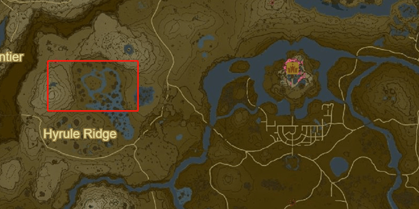 塞尔达传说王国之泪雷之台地试练位置-塞尔达传说王国之泪雷之台地位置攻略