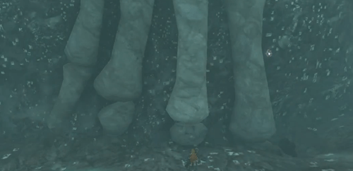 塞尔达传说王国之泪海布拉大化石在哪-塞尔达传说王国之泪海布拉大化石位置攻略