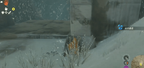 塞尔达传说王国之泪海布拉大化石在哪-塞尔达传说王国之泪海布拉大化石位置攻略