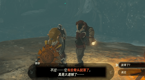 塞尔达传说王国之泪海布拉大化石在哪-塞尔达传说王国之泪海布拉大化石位置攻略