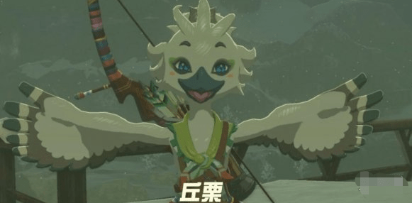 塞尔达传说王国之泪利特村的丘栗任务怎么做,利特村的丘栗任务图文详细通关攻略