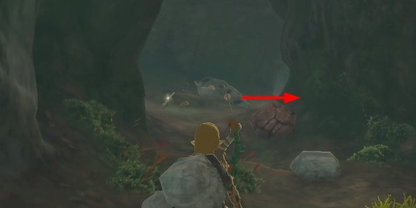 塞尔达传说王国之泪矿洞怎么采蘑菇攻略