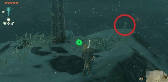 塞尔达传说王国之泪利特村的丘栗任务怎么做,利特村的丘栗任务图文详细通关攻略