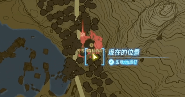 王国之泪迷途森林走法介绍-塞尔达传说王国之泪迷途森林进去策略