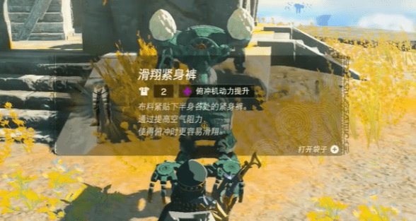 塞尔达传说王国之泪滑翔紧身裤怎么得到-塞尔达传说王国之泪滑翔套装在哪