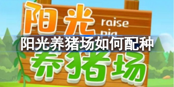 阳光养猪场怎么配种-阳光养猪场怎么配种公式