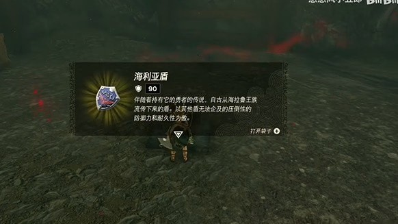 塞尔达传说王国之泪盾牌怎么得到_盾牌图鉴大全汇总