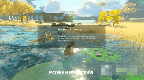 塞尔达传说王国之泪远昔骨舌鱼鳞片怎么得到 位置攻略