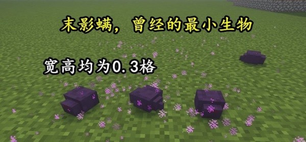 我的世界末影螨吸引末影人距离 我的世界末影螨为什么会消失