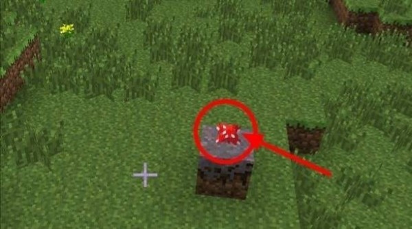 我的世界蘑菇怎么找 我的世界蘑菇怎么量产