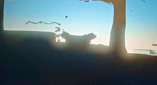 塞尔达王国之泪特殊马匹刷新地点大全 位置介绍