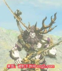 《塞尔达传说王国之泪》白银人马战术攻略