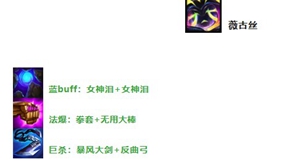 云顶之弈s8.5薇古斯怎么出装-薇古斯装备及阵容搭配