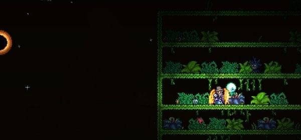 泰拉瑞亚生命果实长什么样 泰拉瑞亚生命果实出现条件