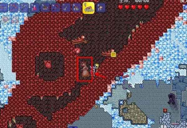 泰拉瑞亚维生素在哪个怪物身上掉的 泰拉瑞亚维生素哪里掉