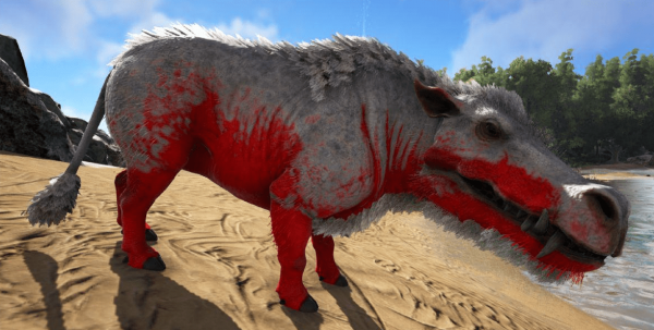 方舟回血猪在哪里抓 回血猪出现位置及驯服策略