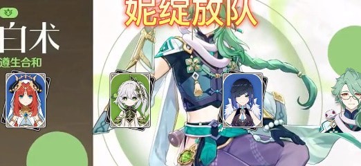 原神白术适合什么队伍 原神白术最佳搭配