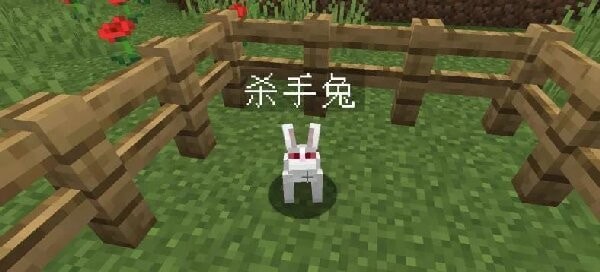 我的世界杀手兔命名牌 我的世界杀手兔的指令