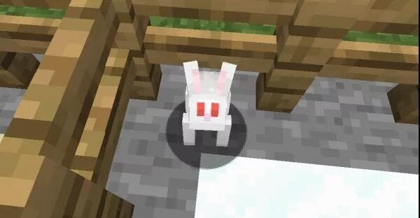 我的世界杀手兔命名牌 我的世界杀手兔的指令