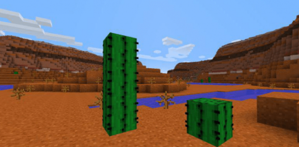 我的世界仙人掌怎么种植策略 我的世界仙人掌怎么快速生长