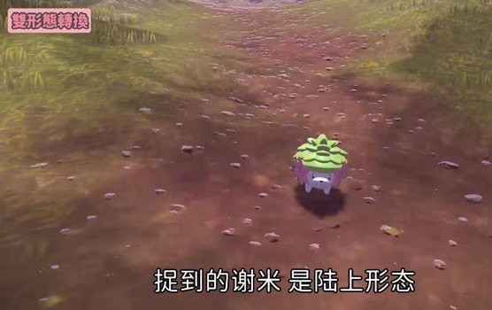 阿尔宙斯谢米进化条件 阿尔宙斯谢米进化道具