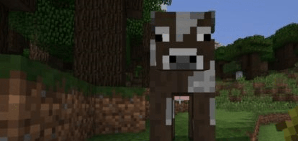 我的世界牛繁殖的冷却时间 我的世界羊吃什么东西