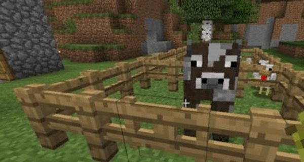 我的世界牛繁殖的冷却时间 我的世界羊吃什么东西