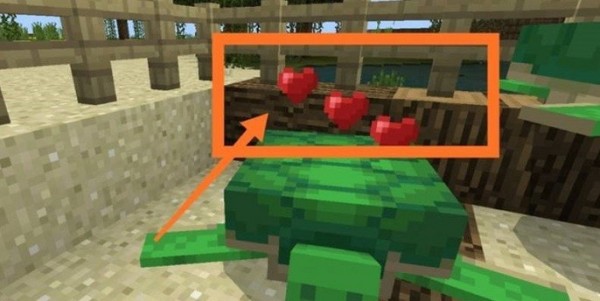 我的世界海龟怎么驯服 海龟驯服策略推荐