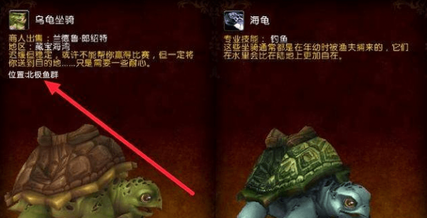 魔兽世界乌龟坐骑掉率 教你1小时内获取步骤详解