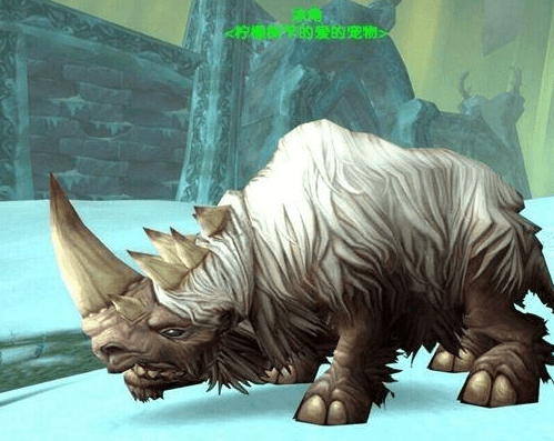 魔兽世界稀有宠物图鉴大全 魔兽世界稀有宠物刷新时间