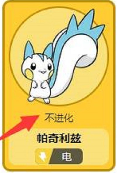 宝可梦传说阿尔宙斯帕奇利兹怎么样 帕奇利兹强在哪里