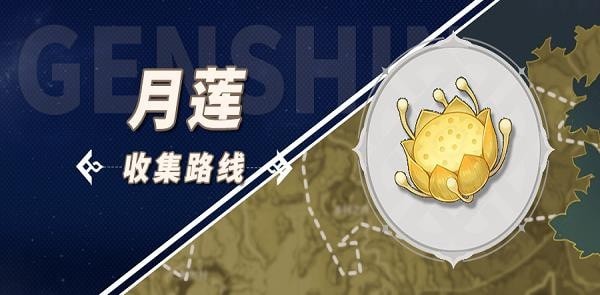 原神月莲在哪里采集 原神月莲采摘地点汇总