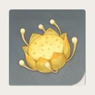 原神月莲在哪里采集 原神月莲采摘地点汇总