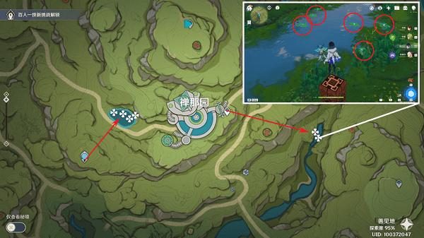 原神月莲在哪里采集 原神月莲采摘地点汇总