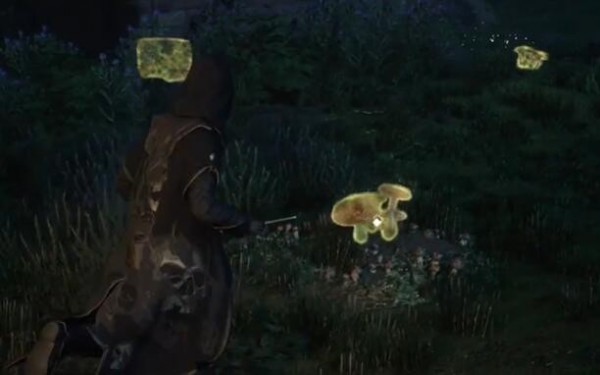 霍格沃兹之遗全收集攻略 全收集要多久