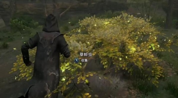 霍格沃兹之遗全收集攻略 全收集要多久