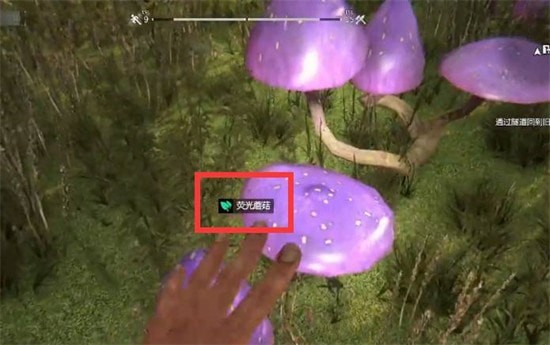 消逝的光芒荧光蘑菇白天有吗 荧光蘑菇在哪