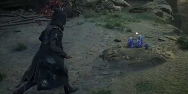 霍格沃兹之遗全收集攻略 全收集要多久