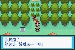 口袋妖怪最后的火红4.03金手指大全 通用4.03金手指作弊代码总体评价