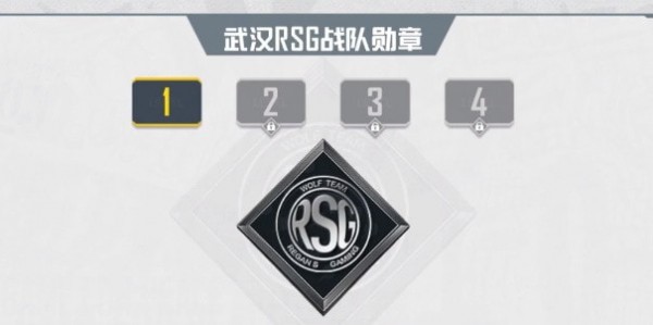 和平精英战队粉丝logo怎么得到 和平精英战队粉丝logo获取步骤详解汇总