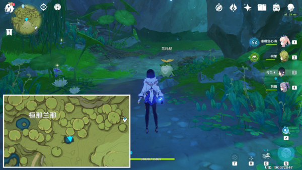 原神3.5劫波莲采集路线图-原神劫波莲采集点位置汇总