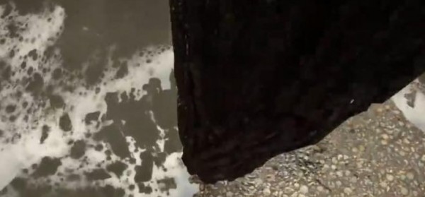 森林之子绳索枪怎么运输木头 森林之子绳索枪运木头策略汇总