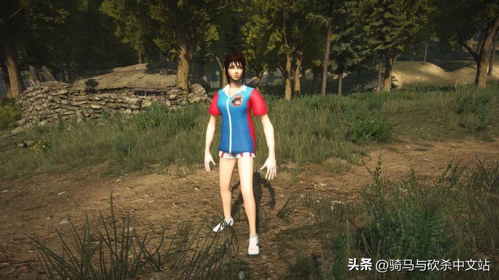 骑马与砍杀三国无双攻略（MOD精选貂蝉甄宓缺一不可骑砍2三国无双服装）-图8